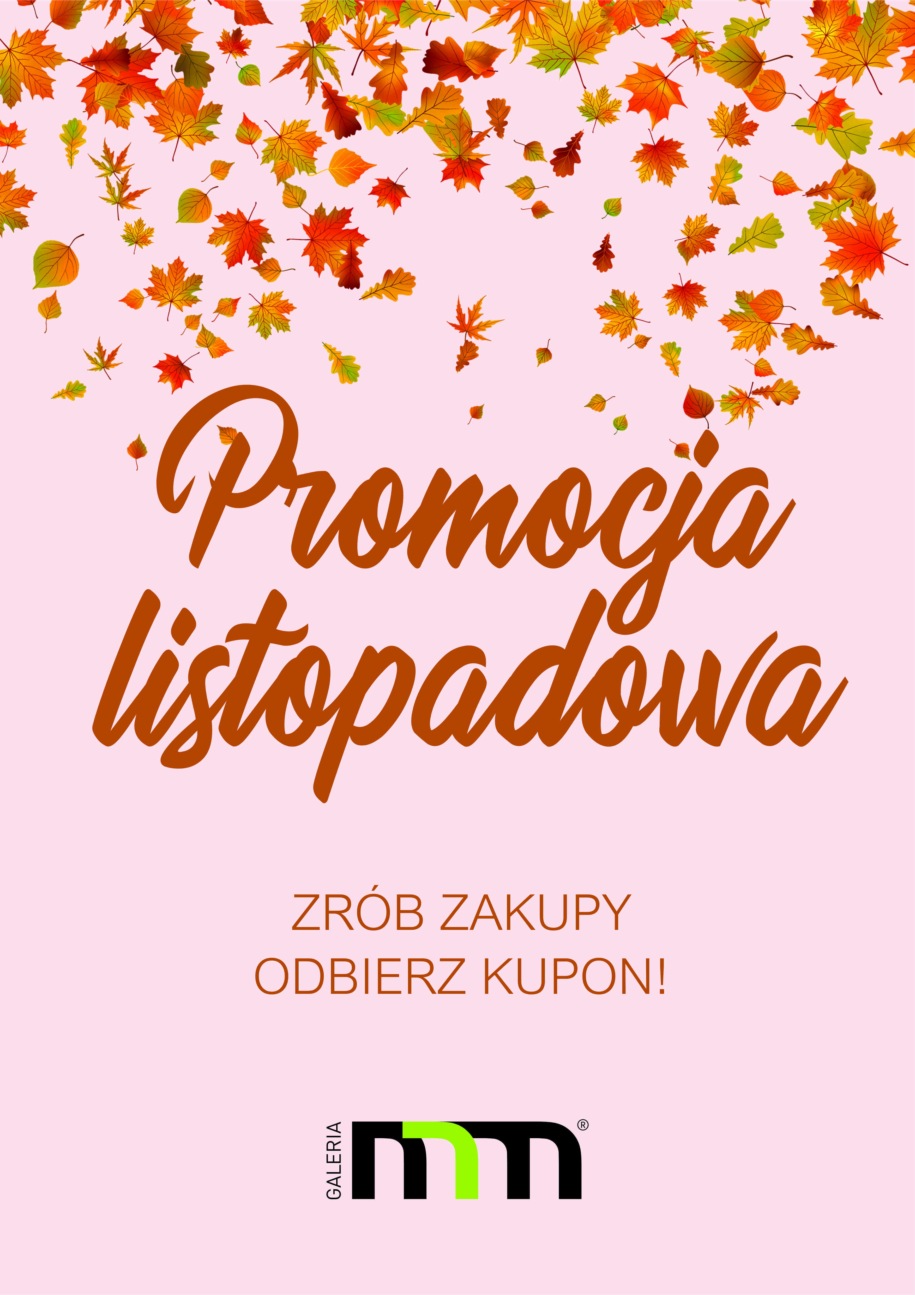 PROMOCJA LISTOPADOWA