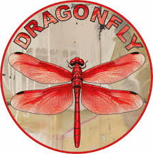 108. Dragonfly